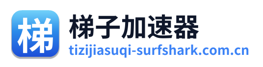 梯子加速器